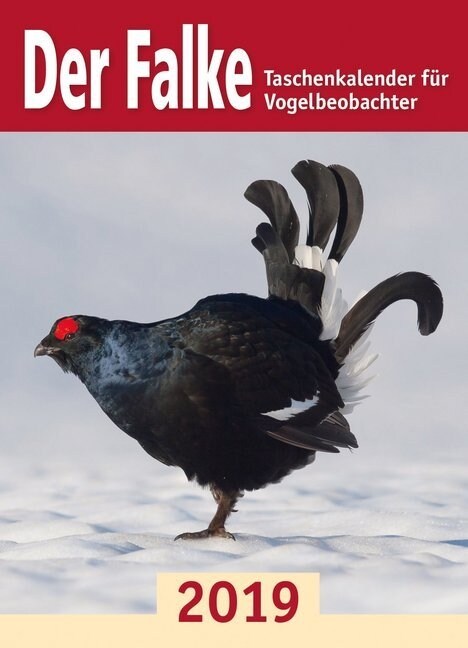 Der Falke 2019 (Calendar)