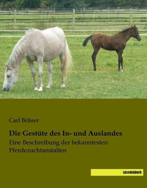 Die Gestute des In- und Auslandes (Paperback)