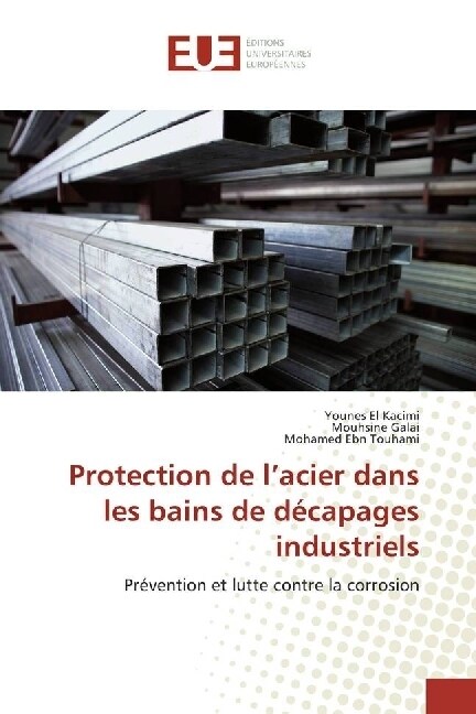 Protection de lacier dans les bains de decapages industriels (Paperback)