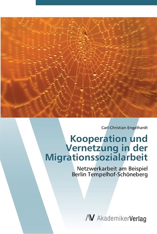 Kooperation und Vernetzung in der Migrationssozialarbeit (Paperback)