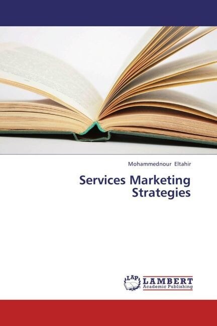 Services Marketing Strategies (Paperback)