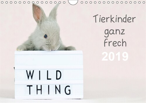Tierkinder ganz frech (Wandkalender 2019 DIN A4 quer) (Calendar)