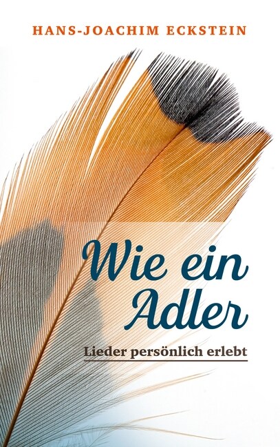 Wie ein Adler (Hardcover)