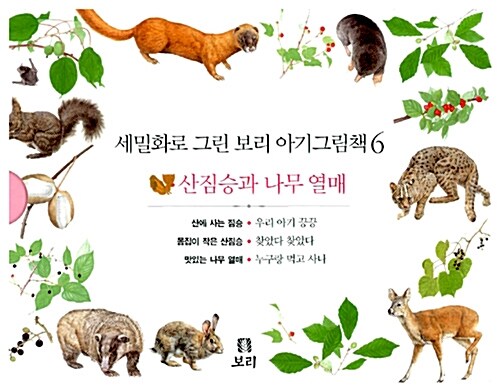 [중고] 세밀화로 그린 보리 아기그림책 6 - 전3권