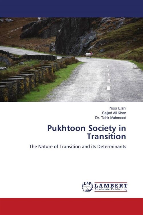 Pukhtoon Society in Transition (Paperback)