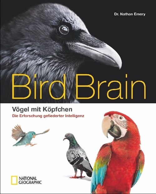 Bird Brain (Hardcover)