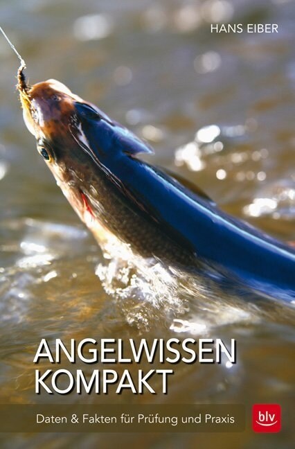 Angelwissen kompakt (Paperback)