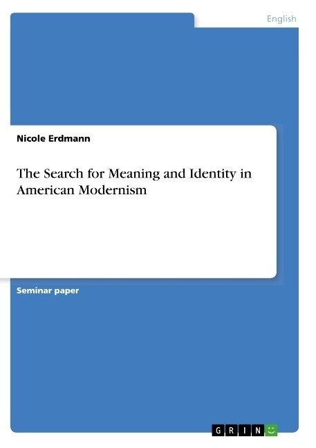 The Search for Meaning and Identity in American Modernism (Paperback)