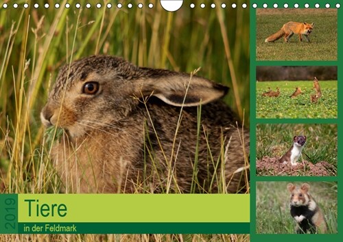 Tiere in der Feldmark (Wandkalender 2019 DIN A4 quer) (Calendar)