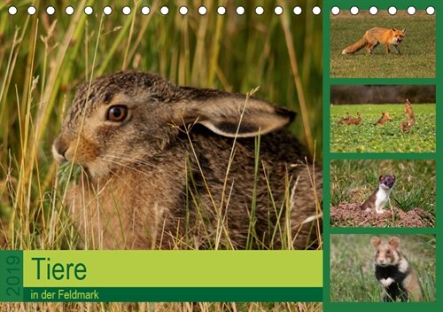 Tiere in der Feldmark (Tischkalender 2019 DIN A5 quer) (Calendar)