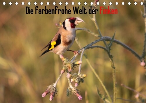 Die farbenfrohe Welt der Finken (Tischkalender 2019 DIN A5 quer) (Calendar)