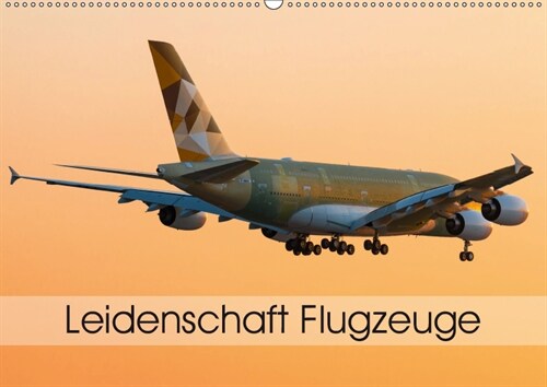 Leidenschaft Flugzeuge (Wandkalender 2019 DIN A2 quer) (Calendar)