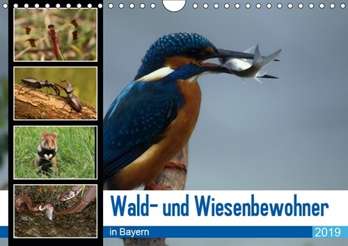 Wald- und Wiesenbewohner in Bayern 2019 (Wandkalender 2019 DIN A4 quer) (Calendar)