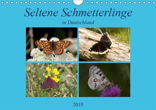 Seltene Schmetterlinge in Deutschland (Wandkalender 2019 DIN A4 quer) (Calendar)