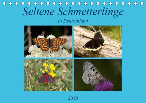 Seltene Schmetterlinge in Deutschland (Tischkalender 2019 DIN A5 quer) (Calendar)