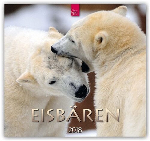 Eisbaren 2018 (Calendar)