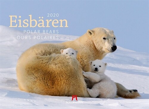 Eisbaren 2020 (Calendar)