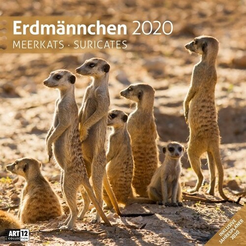 Erdmannchen 2020 (Calendar)