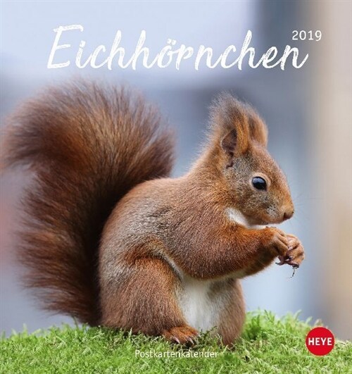 Eichhornchen 2019 (Calendar)