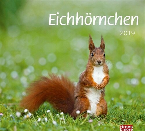 Eichhornchen 2019 (Calendar)