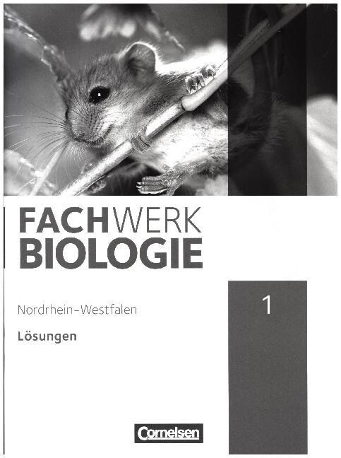 Losungen zum Schulerbuch (Paperback)