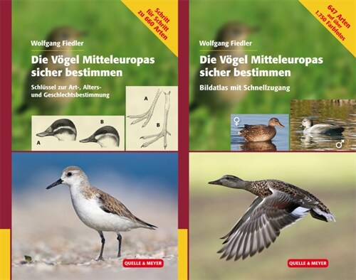 Die Vogel Mitteleuropas sicher bestimmen, 2 Bande (Hardcover)