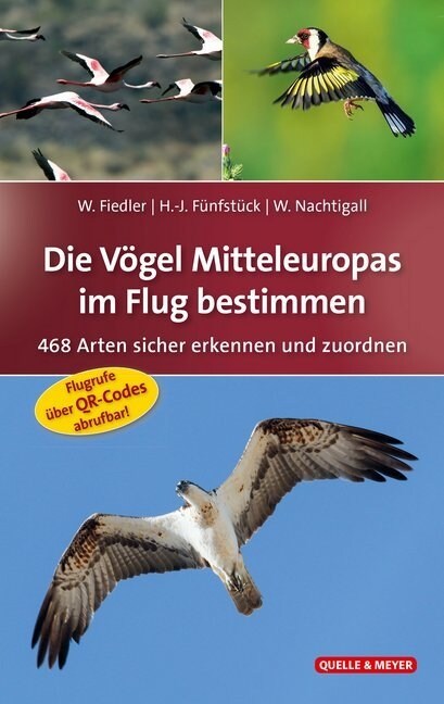 Die Vogel Mitteleuropas im Flug bestimmen (Hardcover)