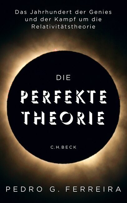 Die perfekte Theorie (Hardcover)
