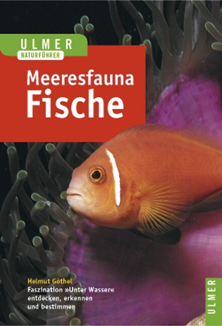 Fische (Paperback)