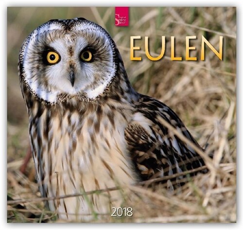 Eulen 2018 (Calendar)