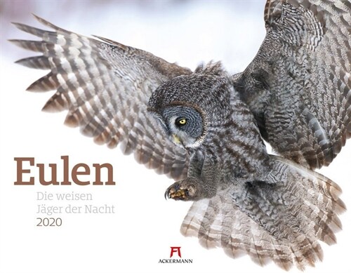 Eulen 2020 (Calendar)