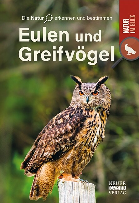 Eulen und Greifvogel (Paperback)