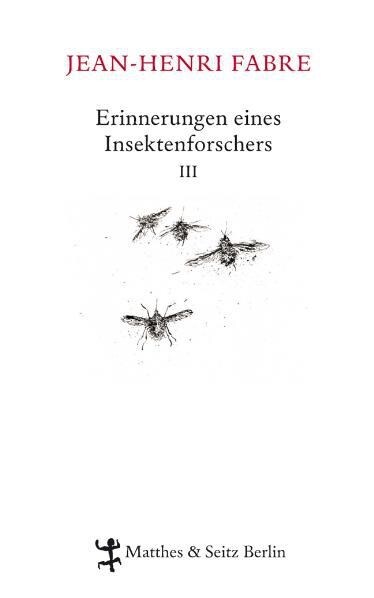 Erinnerungen eines Insektenforschers. Bd.3 (Hardcover)