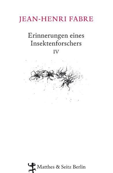 Erinnerungen eines Insektenforschers. Bd.4 (Hardcover)