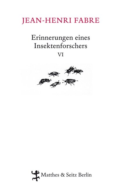 Erinnerungen eines Insektenforschers. Bd.6 (Hardcover)