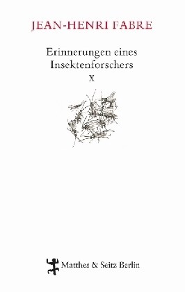 Erinnerungen eines Insektenforschers. Bd.10 (Hardcover)