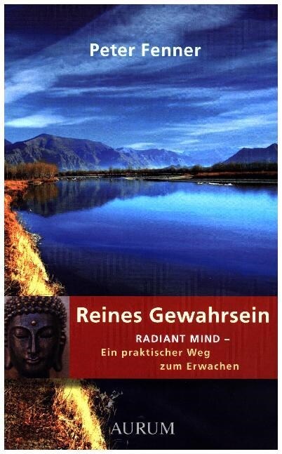 Reines Gewahrsein (Paperback)