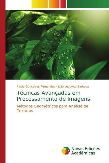 T?nicas Avan?das em Processamento de Imagens (Paperback)