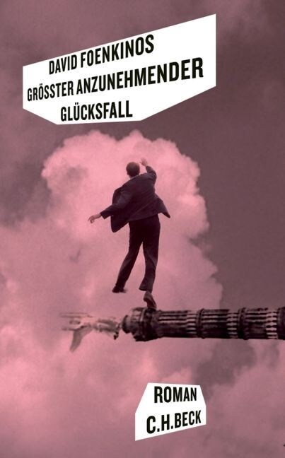 Großter anzunehmender Glucksfall (Hardcover)