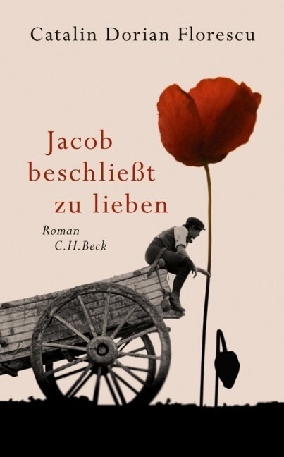 Jacob beschließt zu lieben (Hardcover)