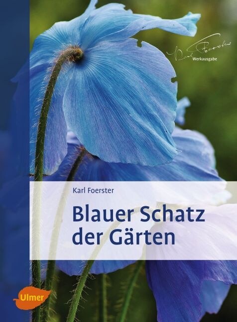 Blauer Schatz der Garten (Hardcover)