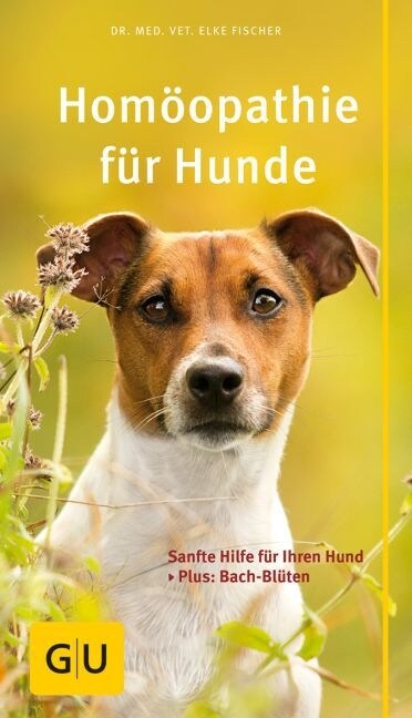 Homoopathie fur Hunde (Paperback)