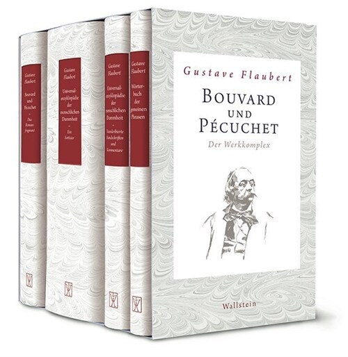 Bouvard und Pecuchet, 4 Bde. (Hardcover)