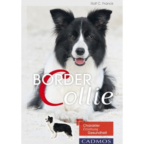Border Collie (Paperback)