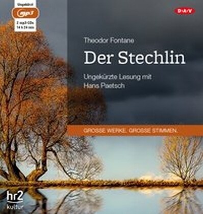 Der Stechlin, 2 MP3-CDs (CD-Audio)