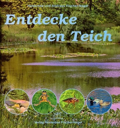 Entdecke den Teich (Hardcover)