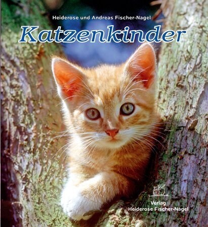 Katzenkinder (Hardcover)