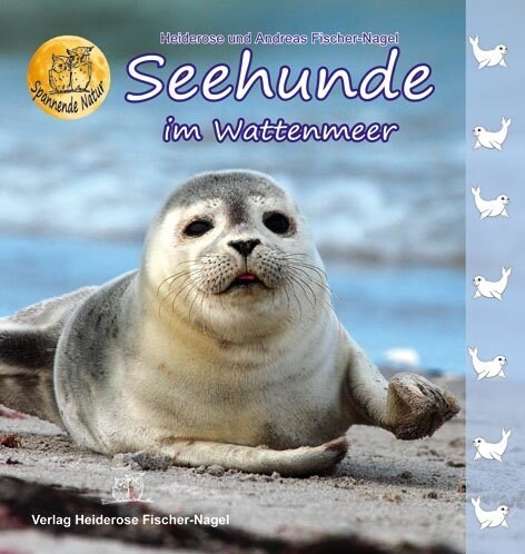 Seehunde im Wattenmeer (Hardcover)