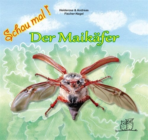 Der Maikafer (Hardcover)