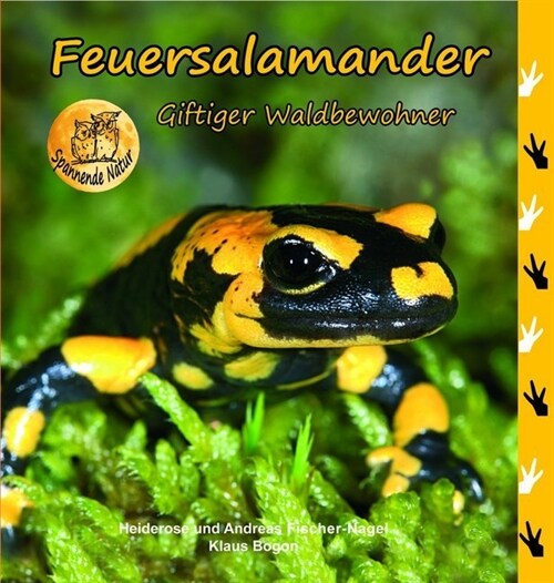 Feuersalamander (Hardcover)